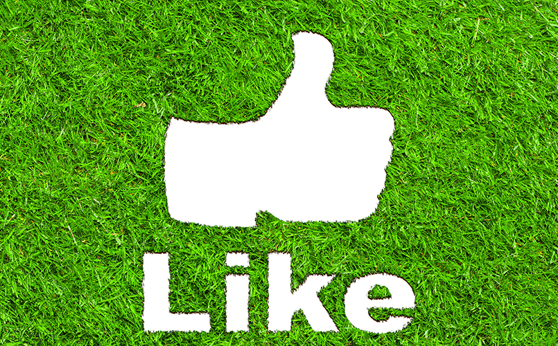 Like us on Facebook!